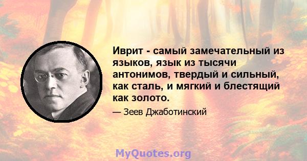 Иврит - самый замечательный из языков, язык из тысячи антонимов, твердый и сильный, как сталь, и мягкий и блестящий как золото.