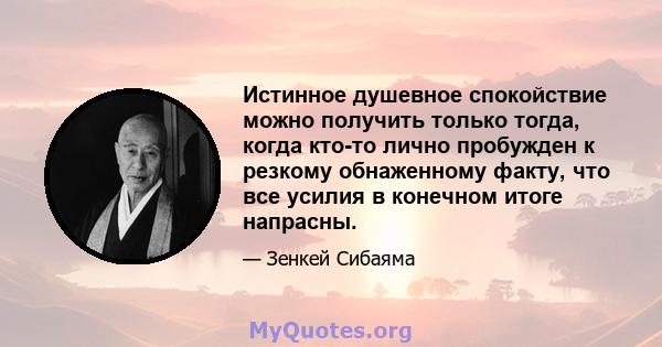 Истинное душевное спокойствие можно получить только тогда, когда кто-то лично пробужден к резкому обнаженному факту, что все усилия в конечном итоге напрасны.