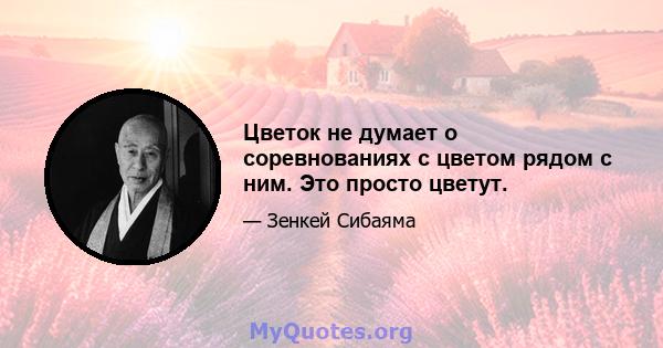 Цветок не думает о соревнованиях с цветом рядом с ним. Это просто цветут.