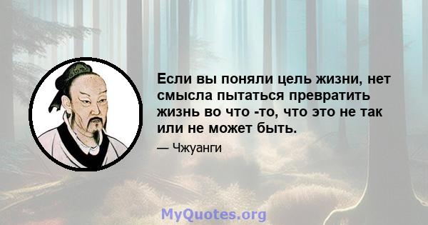 Если вы поняли цель жизни, нет смысла пытаться превратить жизнь во что -то, что это не так или не может быть.