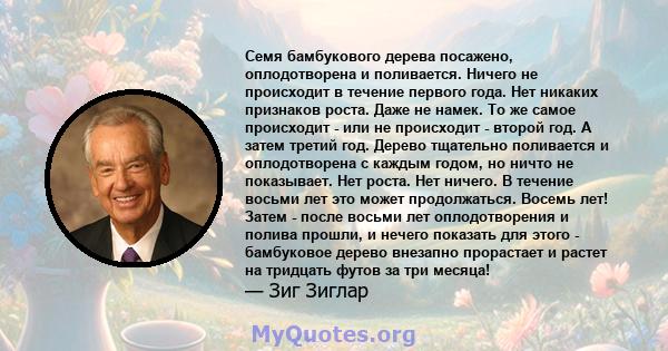 Семя бамбукового дерева посажено, оплодотворена и поливается. Ничего не происходит в течение первого года. Нет никаких признаков роста. Даже не намек. То же самое происходит - или не происходит - второй год. А затем