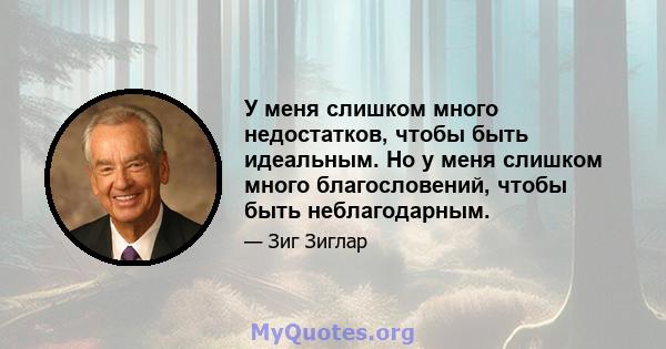 У меня слишком много недостатков, чтобы быть идеальным. Но у меня слишком много благословений, чтобы быть неблагодарным.