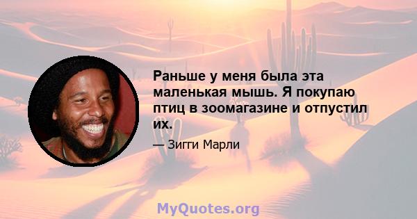 Раньше у меня была эта маленькая мышь. Я покупаю птиц в зоомагазине и отпустил их.