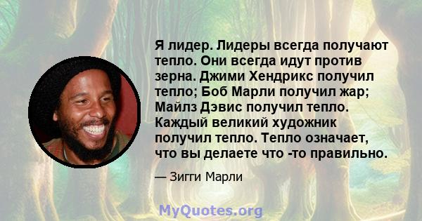 Я лидер. Лидеры всегда получают тепло. Они всегда идут против зерна. Джими Хендрикс получил тепло; Боб Марли получил жар; Майлз Дэвис получил тепло. Каждый великий художник получил тепло. Тепло означает, что вы делаете