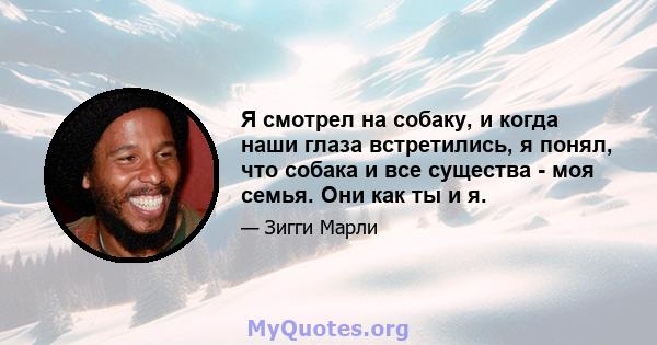 Я смотрел на собаку, и когда наши глаза встретились, я понял, что собака и все существа - моя семья. Они как ты и я.