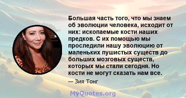 Большая часть того, что мы знаем об эволюции человека, исходит от них: ископаемые кости наших предков. С их помощью мы проследили нашу эволюцию от маленьких пушистых существ до больших мозговых существ, которых мы стали 