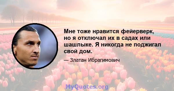 Мне тоже нравится фейерверк, но я отключал их в садах или шашлыке. Я никогда не поджигал свой дом.