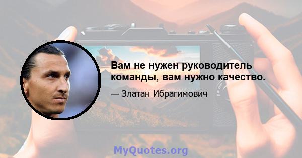 Вам не нужен руководитель команды, вам нужно качество.