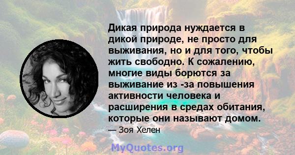 Дикая природа нуждается в дикой природе, не просто для выживания, но и для того, чтобы жить свободно. К сожалению, многие виды борются за выживание из -за повышения активности человека и расширения в средах обитания,