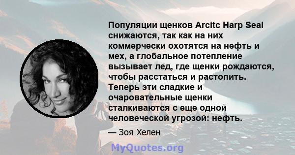 Популяции щенков Arcitc Harp Seal снижаются, так как на них коммерчески охотятся на нефть и мех, а глобальное потепление вызывает лед, где щенки рождаются, чтобы расстаться и растопить. Теперь эти сладкие и