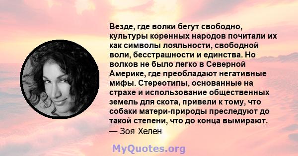 Везде, где волки бегут свободно, культуры коренных народов почитали их как символы лояльности, свободной воли, бесстрашности и единства. Но волков не было легко в Северной Америке, где преобладают негативные мифы.