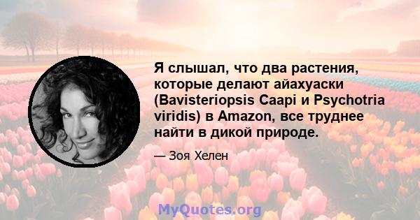 Я слышал, что два растения, которые делают айахуаски (Bavisteriopsis Caapi и Psychotria viridis) в Amazon, все труднее найти в дикой природе.