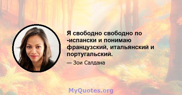 Я свободно свободно по -испански и понимаю французский, итальянский и португальский.