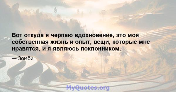 Вот откуда я черпаю вдохновение, это моя собственная жизнь и опыт, вещи, которые мне нравятся, и я являюсь поклонником.