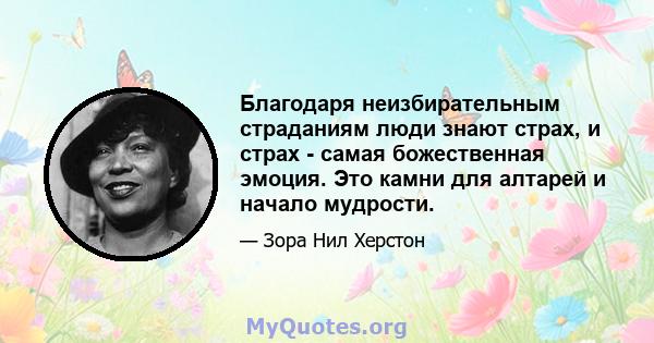 Благодаря неизбирательным страданиям люди знают страх, и страх - самая божественная эмоция. Это камни для алтарей и начало мудрости.