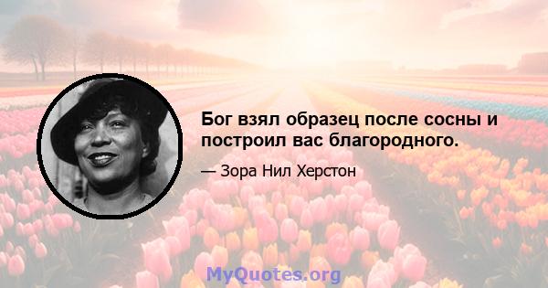 Бог взял образец после сосны и построил вас благородного.