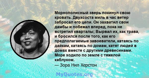 Морнополисный зверь покинул свою кровать. Двухсоста миль в час ветер забросал его цепи. Он захватил свои дамбы и побежал вперед, пока не встретил кварталы; Вырвал их, как трава, и бросился после того, как его