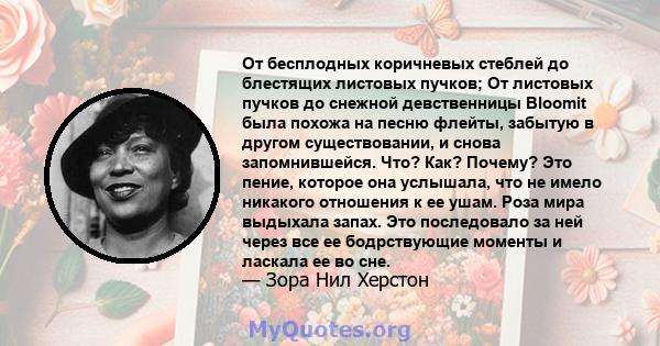 От бесплодных коричневых стеблей до блестящих листовых пучков; От листовых пучков до снежной девственницы Bloomit была похожа на песню флейты, забытую в другом существовании, и снова запомнившейся. Что? Как? Почему? Это 