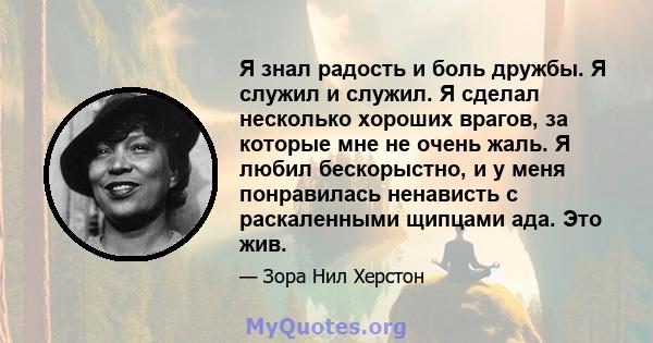 Я знал радость и боль дружбы. Я служил и служил. Я сделал несколько хороших врагов, за которые мне не очень жаль. Я любил бескорыстно, и у меня понравилась ненависть с раскаленными щипцами ада. Это жив.