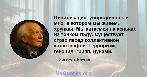 Цивилизация, упорядоченный мир, в котором мы живем, хрупкая. Мы катаемся на коньках на тонком льду. Существует страх перед коллективной катастрофой. Терроризм, геноцид, грипп, цунами.